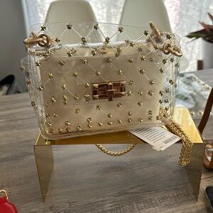 Beautiful clear concert handbag